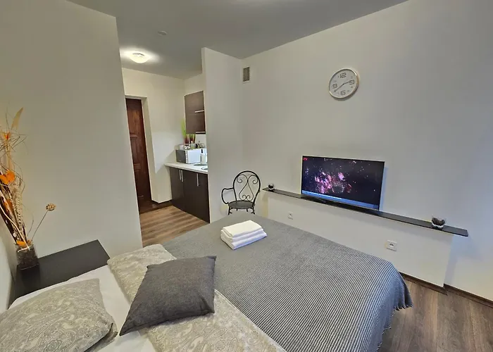 S4 Apartamento Klaipėda